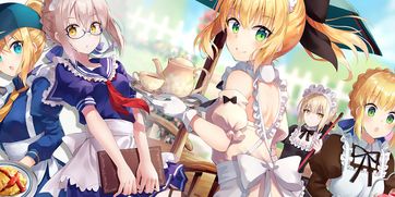 命运冠位指定 游戏与动画的双重魅力